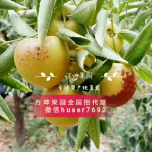 15065886851976.png