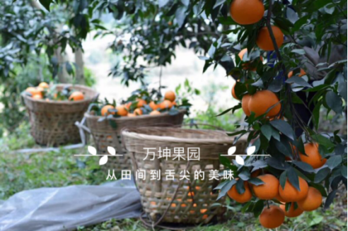 1508834235724.png